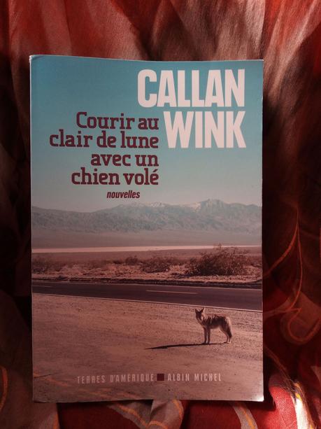 Courir au clair de lune avec un chien volé de Callan Wink Courir au clair de lune avec un chien volé de Callan Wink