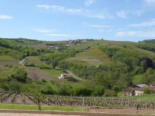 Tourisme dans le Beaujolais des Pierres Dorées