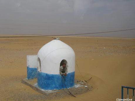 Voyage en Egypte - Gizeh -Saqqara - Memphis