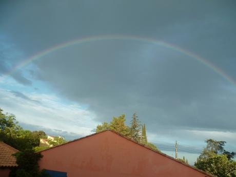 jardin,jardinage,fleurs,plantes,printemps,pluie,soleil,fraises