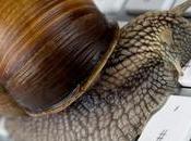 lent façons d’accélérer