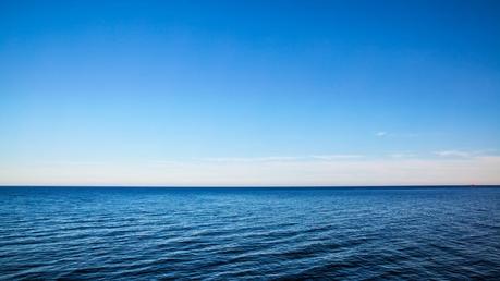 Occupés & Préoccupants