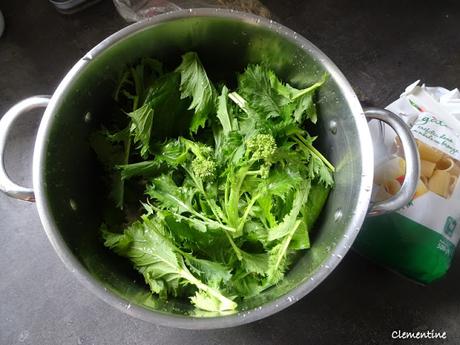 Penne aux cime di rape par Bruno Barbieri