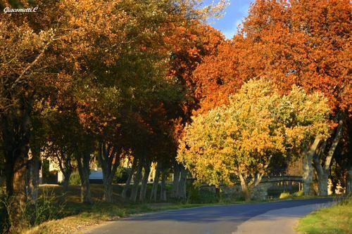 Je vais sur un chemin ...