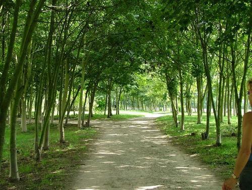 Je vais sur un chemin ...