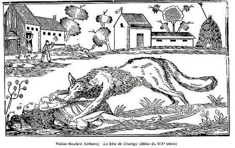 loups dans l’Yonne