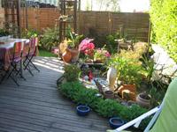 idées bassin pour votre jardin
