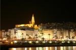Menton la nuit.jpg