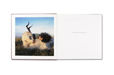 ALESSANDRA SANGUINETTI – THE ADVENTURES OF GUILLE AND BELINDA AND THE ENIGMATIC MEANING OF THEIR DREAMS