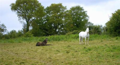 il nous faut donc nous perdre