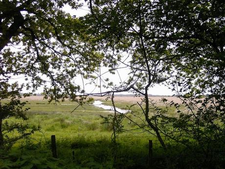 il nous faut donc nous perdre