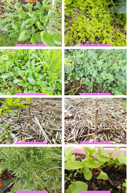 Salade de boulgour mi-crue mi-cuite (Vegan) Salade de boulgour mi-crue mi-cuite (Vegan)