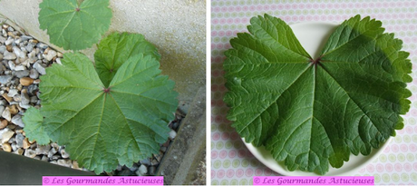 Salade de boulgour mi-crue mi-cuite (Vegan) Salade de boulgour mi-crue mi-cuite (Vegan)