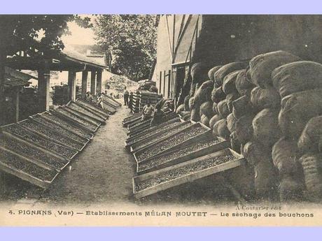 La France - Le Var et sa production de bouchons