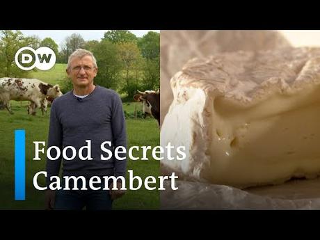 Un expert du camembert