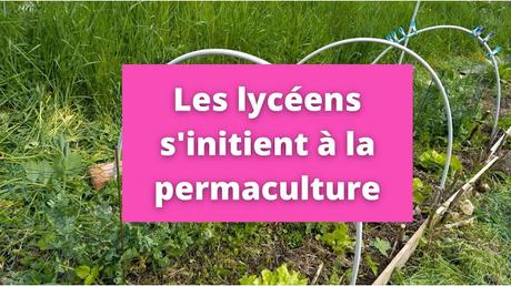 Les lycéens de Bruay Labuissière s'initient à la permaculture (vidéo)