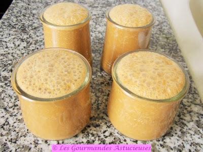 Crème Vegan à la rhubarbe et au Roobios