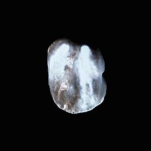 Domiziano Maselli Domiziano Maselli