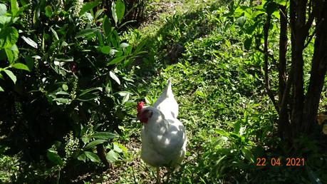 La France - Quel changement en quelques jours