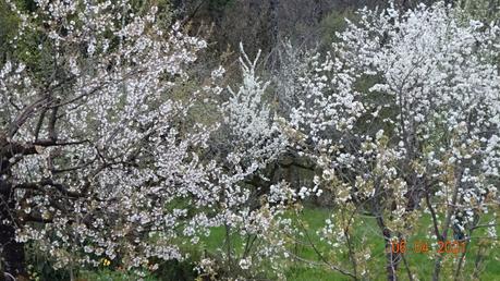 La France - Quel changement en quelques jours