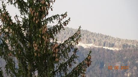 La France - Quel changement en quelques jours
