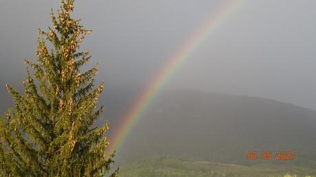 La France - Quel changement en quelques jours