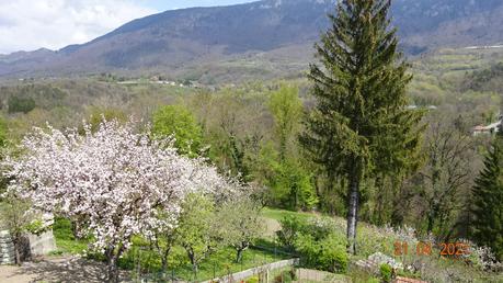 La France - Quel changement en quelques jours