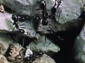 Ten, d'Abbas Kiarostami (suite)