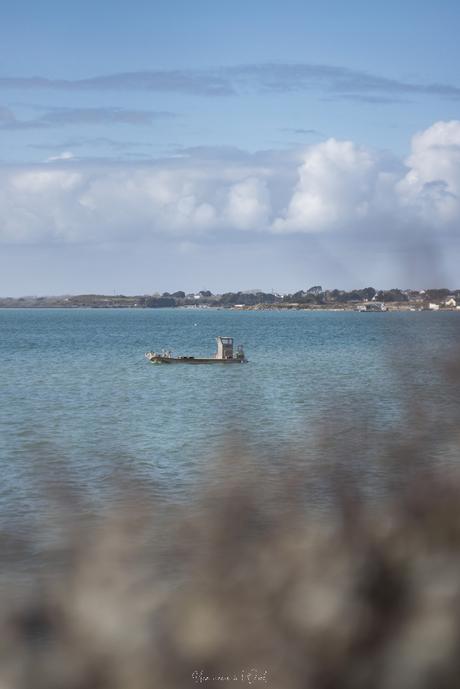 Balade en bord de mer à Carnac