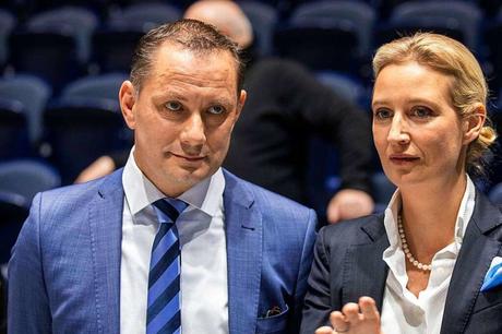 Allemagne-Elections : L’AfD choisit deux candidats des plus radicaux