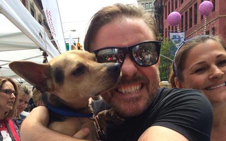 Assiettes de Styrofoam