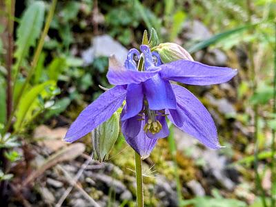 Partenkirchen  — 14 Bilder / 14 photos