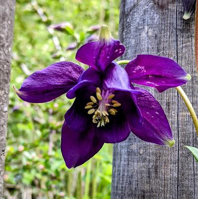 Partenkirchen  — 14 Bilder / 14 photos