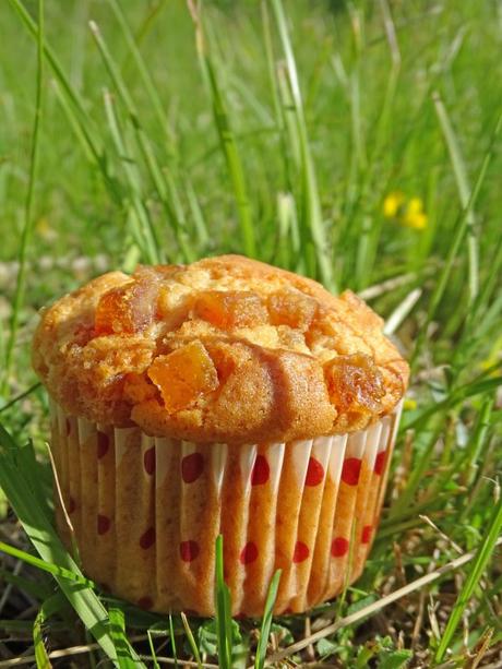 Muffins : recette rapide et extra