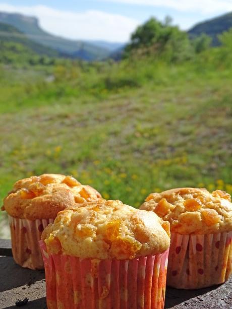Muffins : recette rapide et extra