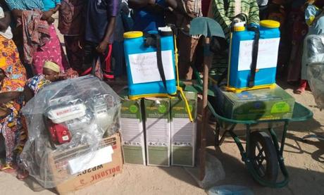 Cameroun : Des anciens combattants se recyclent dans l’agriculture à l’Est