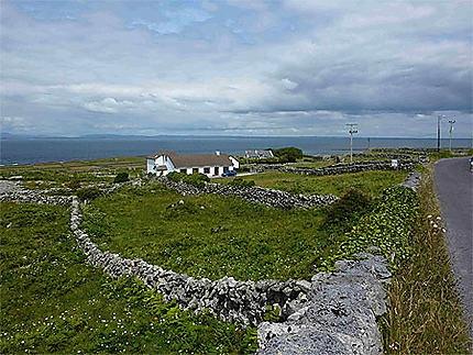 Bribes d'une île Bribes d'une île