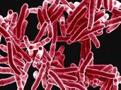 TUBERCULOSE raccourcissait traitement
