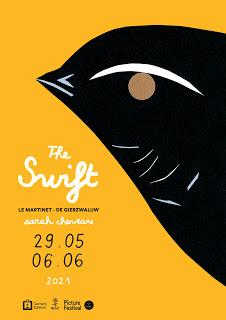 Comme le martinet, le Picture! Festival revient