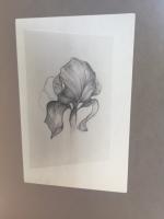 Les végétaux de Laurence Gossart, dans l'exposition Vivant végétal, à Montgeron (91) Maison de l'Agglomération IMG_1551