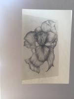 Les végétaux de Laurence Gossart, dans l'exposition Vivant végétal, à Montgeron (91) Maison de l'Agglomération IMG_1558