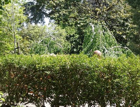 pour se mettre en vitrine