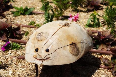 pour se mettre en vitrine