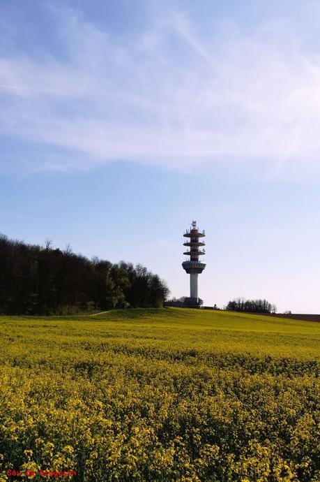 Projet 52-2021 #21 – Dans les Environs