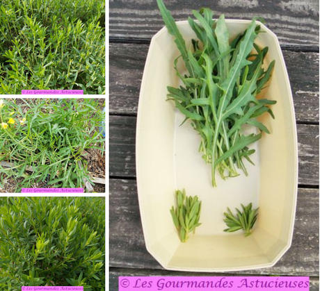 Tartinade aux haricots rouges et à la roquette (Vegan) Tartinade aux haricots rouges et à la roquette (Vegan)