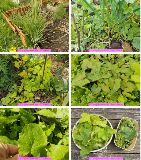 Epeautrezotto par infusion (Vegan) Epeautrezotto par infusion (Vegan)