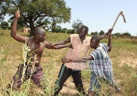 Cameroun : Croisade contre les conflits agro-pastoraux à Bertoua