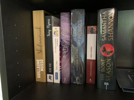 [Bilan mensuel] • Mai • 2021/05