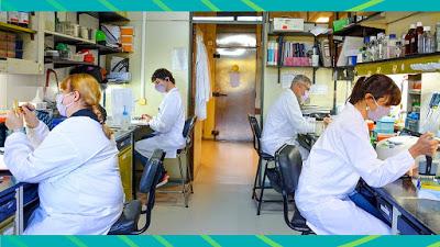 Un nouveau vaccin sur les rails en Argentine ? [Actu]