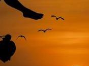 Critique Sportif naturel plantes sont alliées